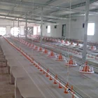 Automatic poultry Feed Equipment for broiler chicken farm house ground floor feeding System
