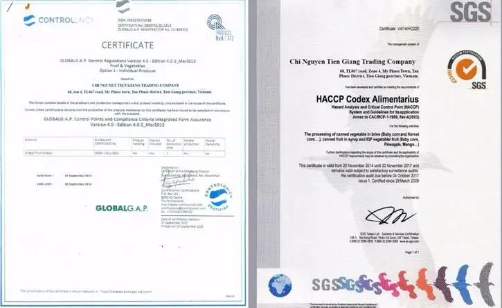 SGS Certificate.jpg