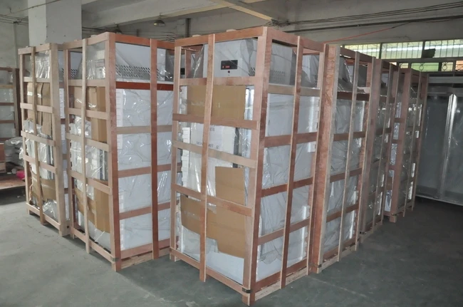 Factory Price High Production Poultry Industrial Air Blast Freezer Room