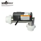 220V/50Hz/1KW for Bathtub Spa Electric Water Heater