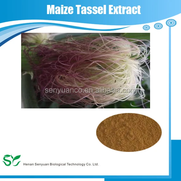 factory directly supply maize tassel extract/maize tassel p.