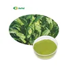 /product-detail/organic-freeze-dried-dehydrated-spinach-powder-1725844340.html