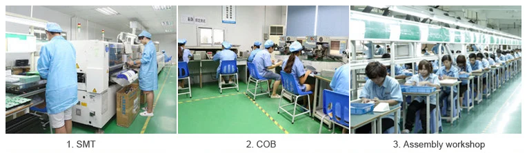 product line.jpg