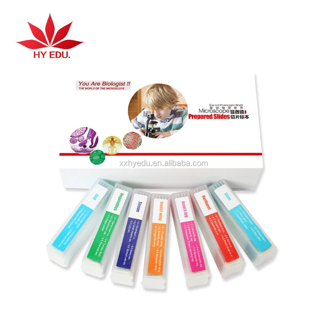 as a gift 35 specimens children prepared microscope slides