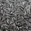 Wholesale Chinese Best Raw Sunflower Seeds 5009 Cheap Sunflower Seeds