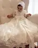 Wholesale Long Newborn Baby Boys and Girls Baptism Party Unisex Lace Gowns Dresses for Christening