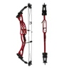 archery bow case compound set 350 fps for sale