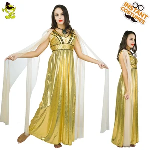 adult women fancy dress costume