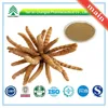 /product-detail/manufacturer-supply-gmp-certificate-100-pure-natural-chinese-caterpillar-fungus-cordyceps-60225191793.html