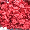 Chinese supplier preserved flower ecuadorian roses valentine'day Day gift