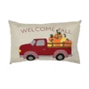 /product-detail/harvest-decorative-vacuum-packed-pillow-60765390888.html