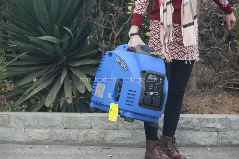 gasoline portable generator.JPG