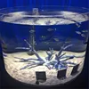 Latest promotion price seamless acrylic cylinder large fish tank aquarium