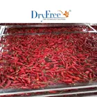 Fruit Fruit Dryer Easy Operation Farm Use Energy Saving 80% Stainless Steel Tray Dryer Type Solar Dryer Machine For Fruit