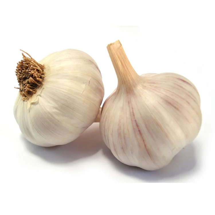 Professional supply healthy new crop white garlic with high quality