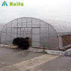 Agriculture One Stop Tunnel Gardens Greenhouse Manufacturer