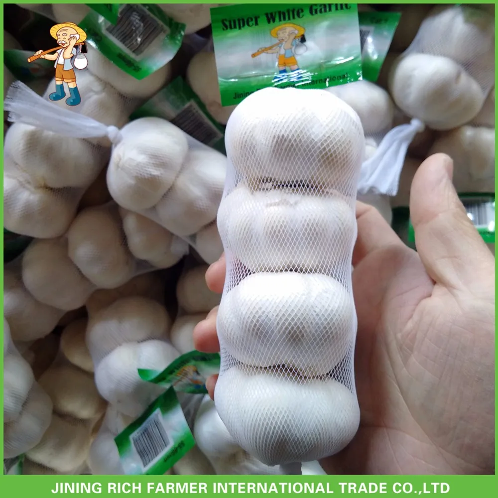 Cheapest Price New Crop Fresh Normal White Garlic 5.0cm In 10 kg Carton For Poland