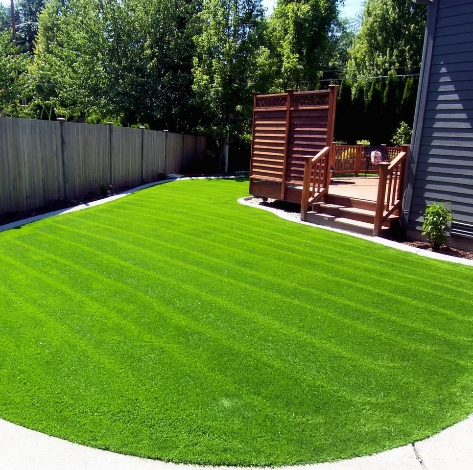 6SG lawn synthetic turf.jpg