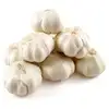 /product-detail/new-crop-5cm-6-5cm-pure-white-and-normal-white-garlic-price-60762068125.html