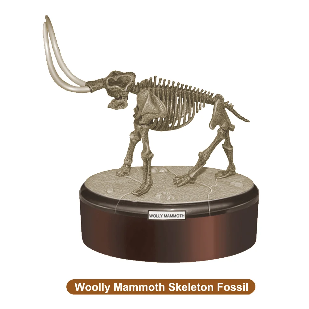 newest toys eco-friendly small dinosaur skeleton