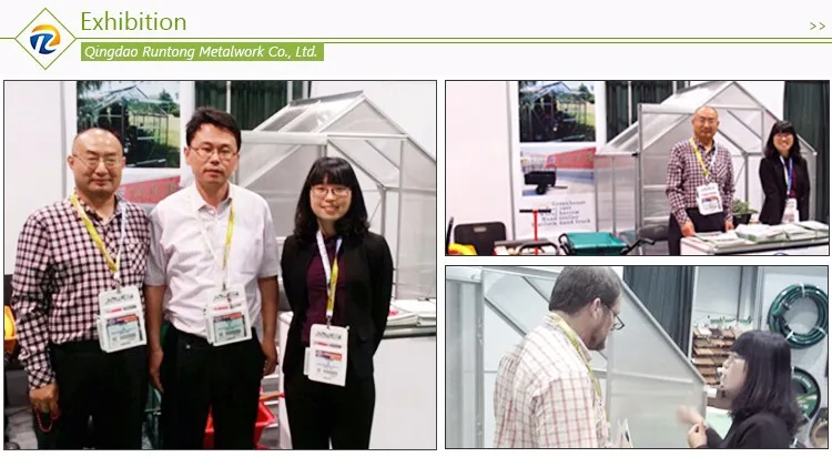 Modern Agricultural Durable Poly Film Glass Greenhouse