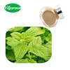 shipping within 24 hours lemon balm extract/Melissa officinalis extract