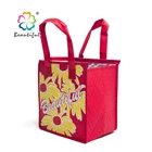 Hot sell fresh cool reusable insulated cooler shopping bag with zip M