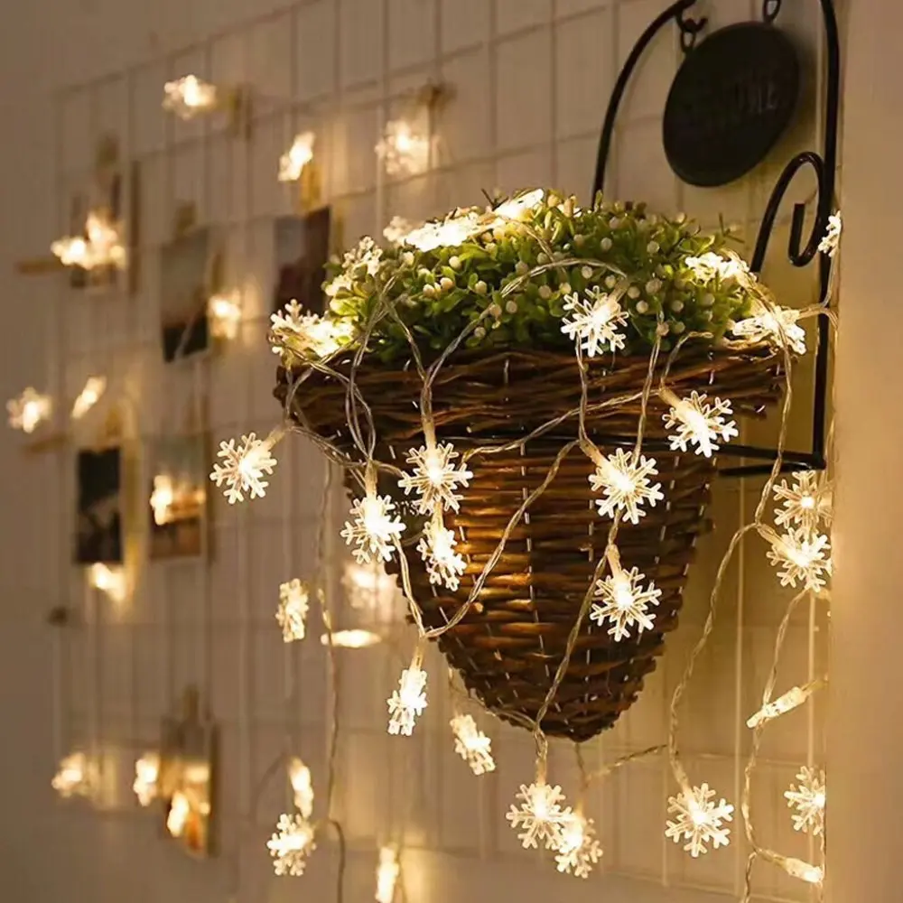 71yKPDz3LkL._SL1000_