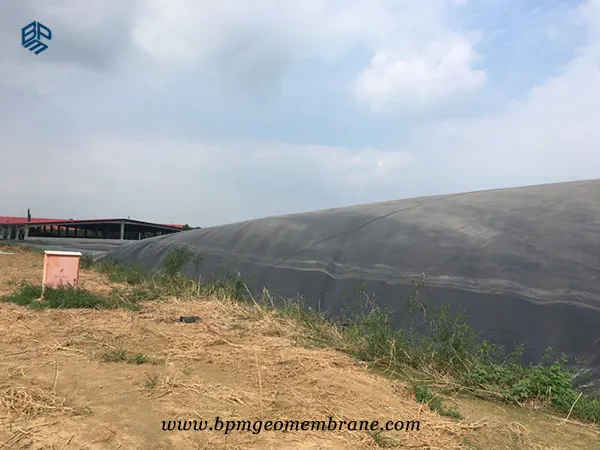 Impermeable geomembrane