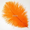 Online Shop Wholesale Various specification High Prime Quality Feather Big