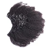 4B 4C Afro Kinky Curly Clip In Human Hair Extensions Brazilian Remy Hair 100% Human Hair Natural Black Clip Ins Bundle