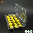 factory price clear disposable plastic PET quail egg tray for supermarket