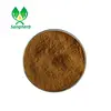 /product-detail/gmp-factory-supply-organic-ganoderma-extract-polysaccharides-red-reishi-extract-60750223947.html