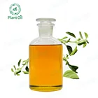 FDA Factory High Quality Oregano Essential Oil Best Price