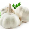 /product-detail/2019-fresh-white-garlic-for-indonesia-market-60662608614.html