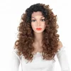 High Quality Swiss Lace Fluffy Natural water wave curly Synthetic Lace Frontal Wigs