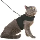 Adjustable Escape Proof Soft Mesh Polyester Padded Cat Harness with Leash for Cat