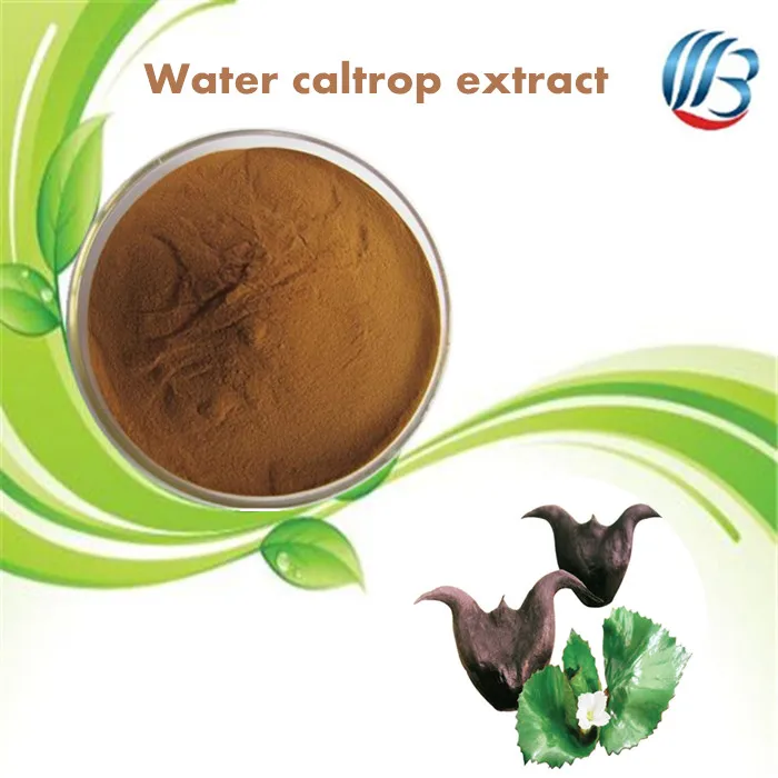 chinese plant extract water chestnut extract/ water caltrop