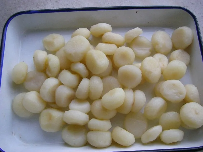 fresh canned water chestnut