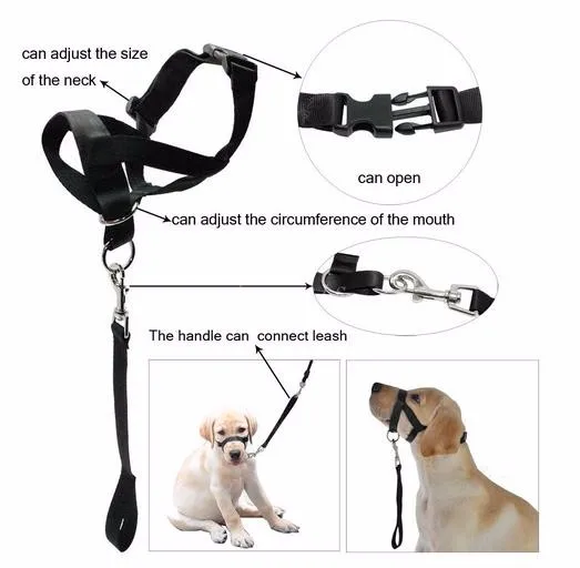 5色ありナイロンマーチンゲール犬襟仕入れ・メーカー・工場