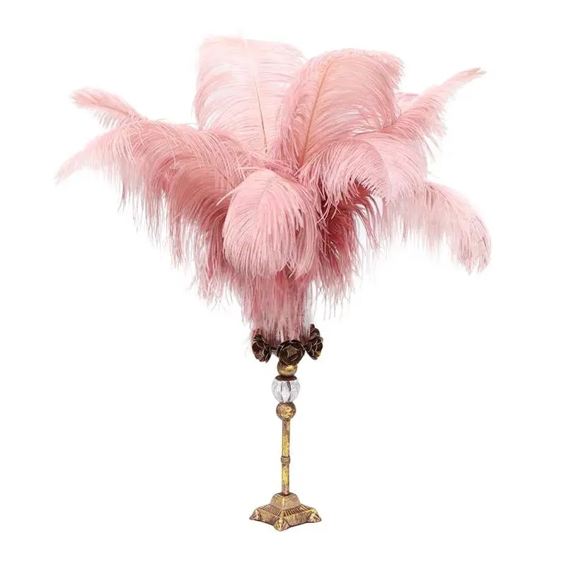 IFG 25-30 cm plume d'autruche décoration maison décoration de robe de mariage avec plume