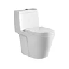 One Piece Sanitary Ware Bathroom Western Toilet Price
