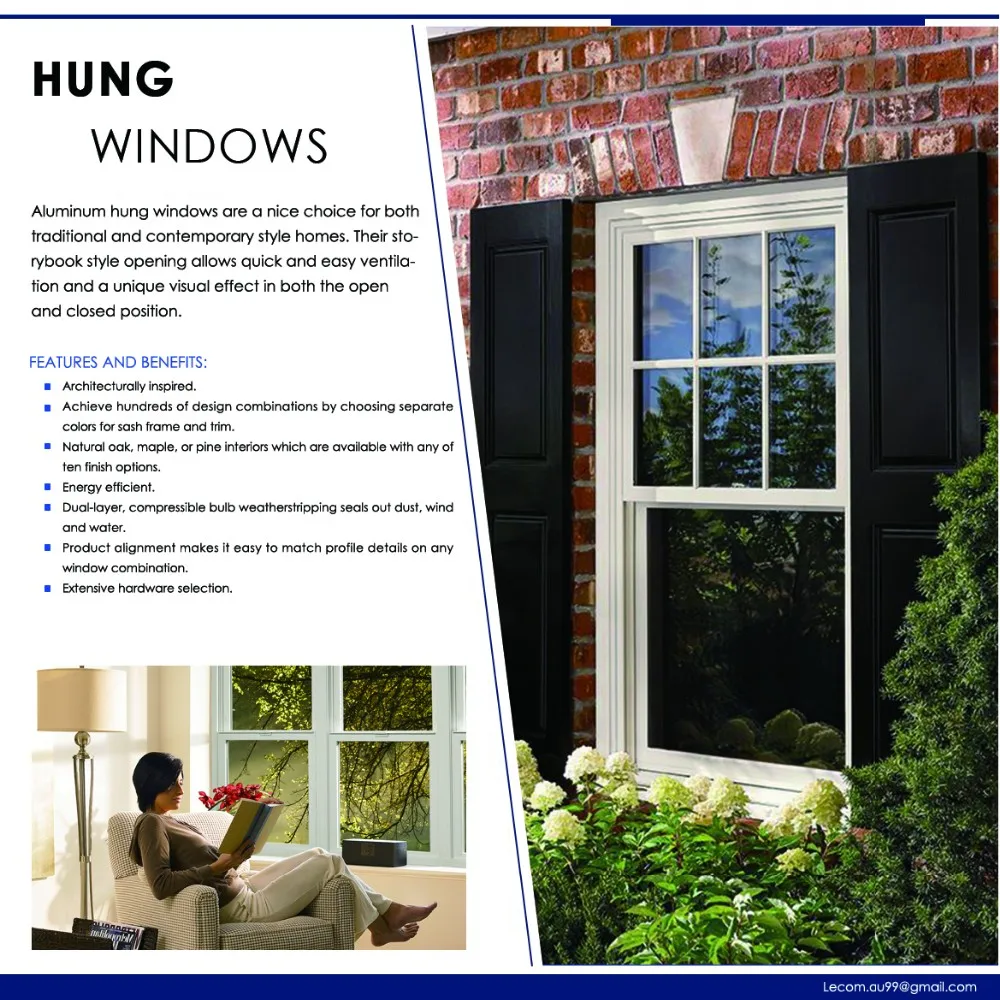 Hung WINDOW2 (2)