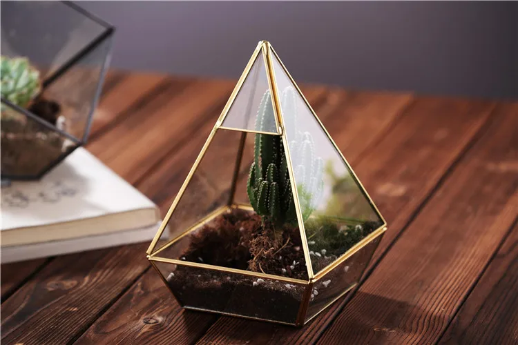 glass terrarium (1).jpg