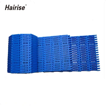 Hairise Plastic Chain Conveyor Belt for industry/Belt Conveyor