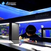 Various style interactive wall projection games custom interactive floor projection system
