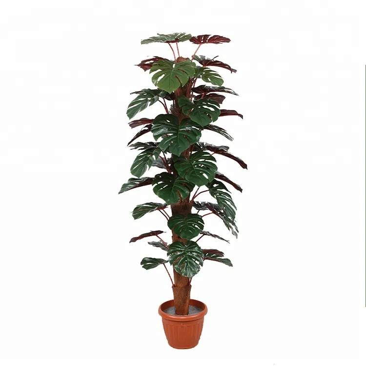 Latest arrival red monsteras leaf indoor plants artificial plastic tropical bonsai tree sale, Green and red
Latest arrival red monsteras leaf indoor plants artificial plastic tropical bonsai tree sale, Green and red