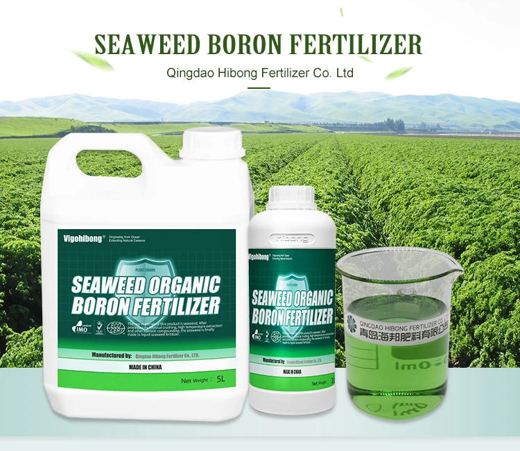 HIBONG Agriculture Use Kelp Organic Seaweed Biotechnology Boron Liquid Fertilizer