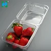 Waterproof Wholesale Plastic Clamshell Container Fruit Disposable Plastic Packaging