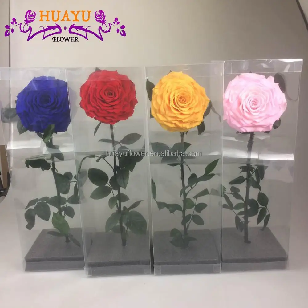 stabilized flowers wholesale preserved rose wedding decorations